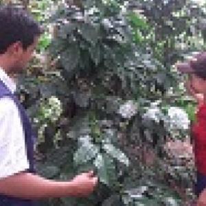 Pasos de la Extensión Rural