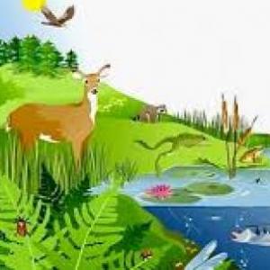 Ecosistemas 