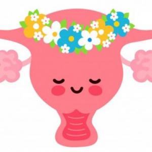 Aparato Reproductor Femenino - Métodos Anticonceptivos
