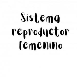 Imagen de portada del videojuego educativo: Partes del Sistema Reproductor femenino y sus funciones, de la temática Biología