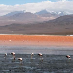 BOLIVIA