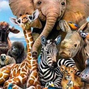 Los animales