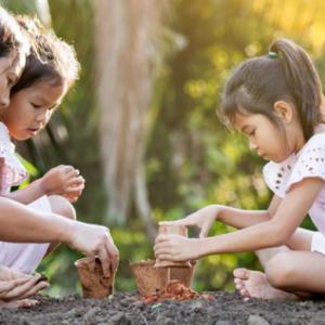 CONOCEMOS LAS PLANTAS