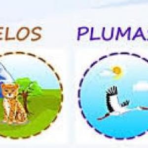 Cobertura del cuerpo de los animales