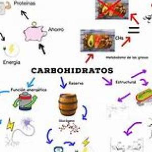 CARBOHIDRATOS
