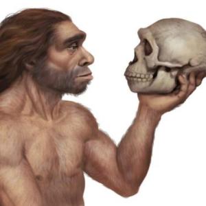PREHISTORIA A HISTORIA