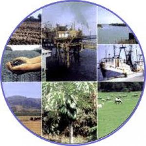 Reconociendo los recursos naturales renovables y no renovables