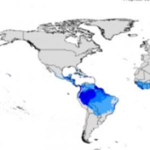 Enfermedades Tropicales