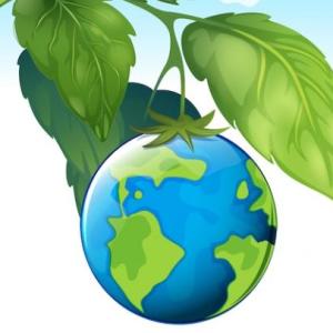 EL MUNDO DE LAS PLANTAS