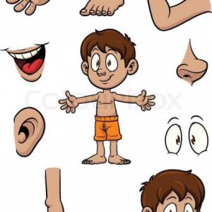The Body