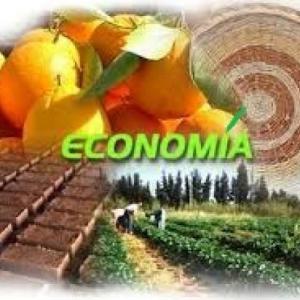 La Economía Engloba Todo 