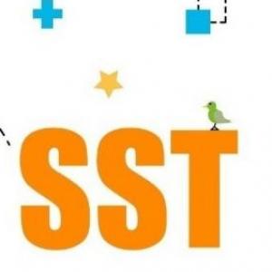 QUIEN SABE MÁS DE SST?