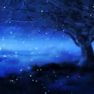 El conocimiento es la puerta para alcanzar nuestros sueños.