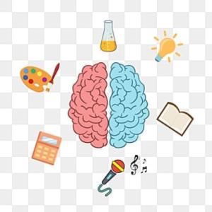 Desarrollo mental