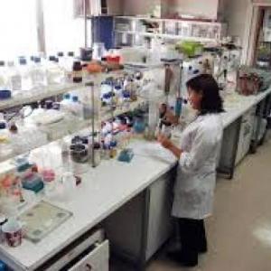 Responde y Gana. Lab. Química