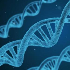 Ahorcado  de enfermedades genéticas humanas e ingeniería genética