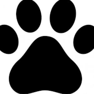Vocabulary m,t,a, s p,c,i,n,b