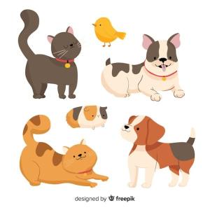 Ahorcado de ANIMALES