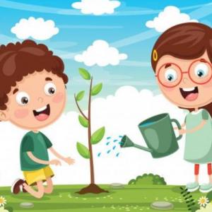 MEMOTEST PLANTAS