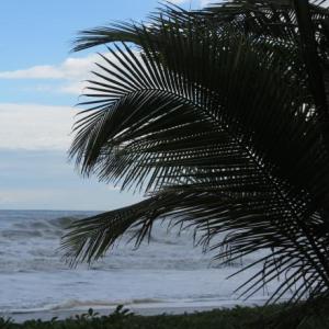 PAUSA ACTIVA