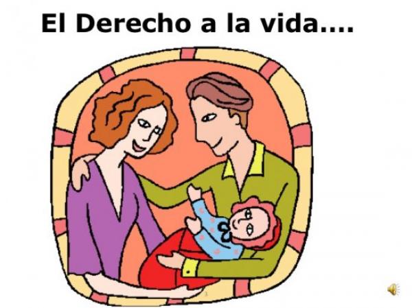 Derechos Humanos y Fundamentales