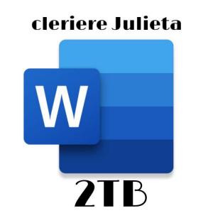 MS Word 