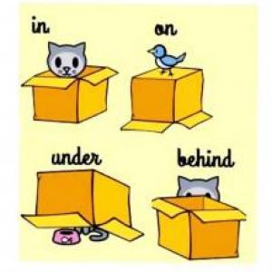  ¿WHERE IS THE ANIMAL?