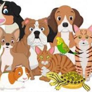 ANIMALS