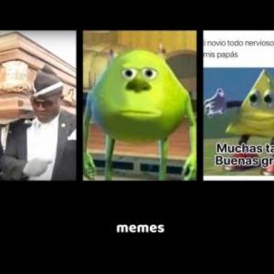 memes frescos