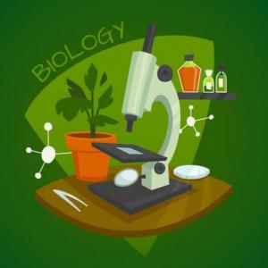 Imagen de portada del videojuego educativo: La enseñanza de la biología., de la temática Biología