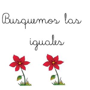 Buscar el igual