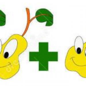 Sumas