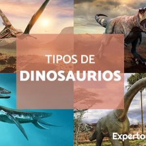 Tipos de Dinosaurios