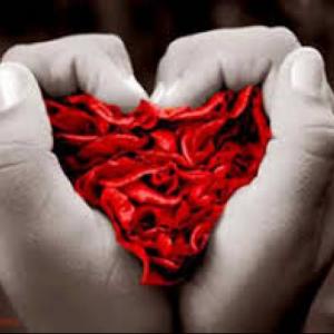 Características del amor humano