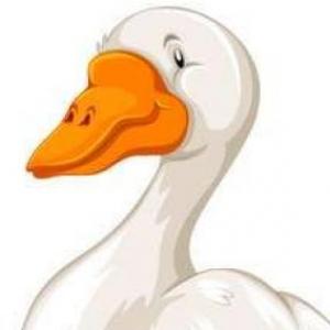 La oca de las matemáticas 2