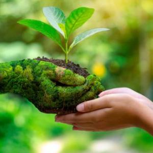 Medio ambiente 5 año 2020