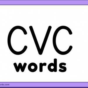 Final activity - CVC words