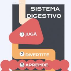 Sistema Digestivo