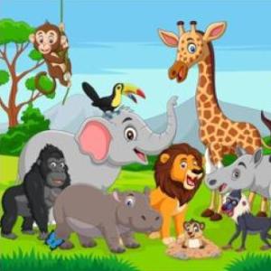 DESCUBRIENDO LOS ANIMALES SALVAJES