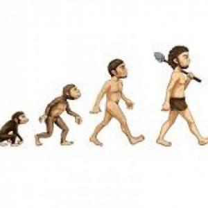 Prehistoria e Historia