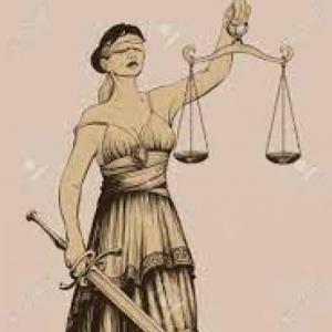 derecho disciplinario estructura proceso ordinario
