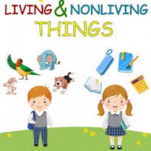 Imagen de portada del videojuego educativo: Living and nonliving things, de la temática Ciencias