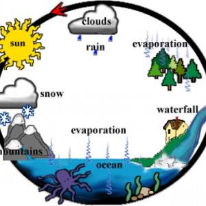Imagen de portada del videojuego educativo: The water cycle, de la temática Biología