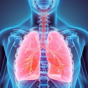 Imagen de portada del videojuego educativo: The respiratory system!, de la temática Biología
