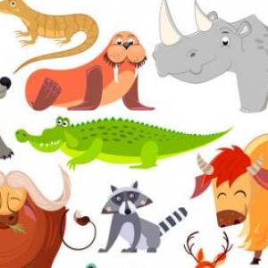 TRIVIAS: LOS SERES VIVOS
