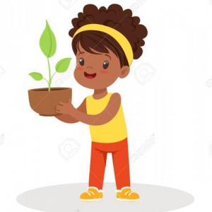 Conociendo las partes de una planta