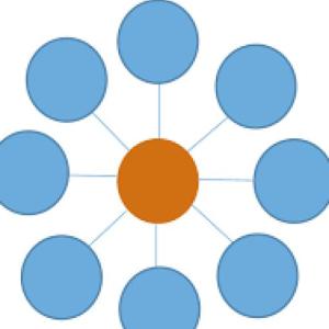 Esquemas de organización