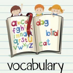 Imagen de portada del videojuego educativo: Vocabulary 48, de la temática Lengua