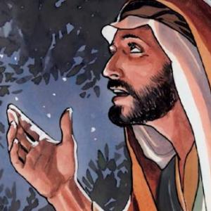 Imagen de portada del videojuego educativo: Nuevo nacimiento, de la temática Religión