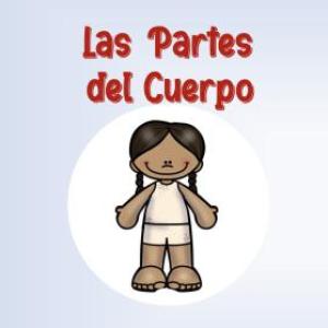Las partes del Cuerpo
